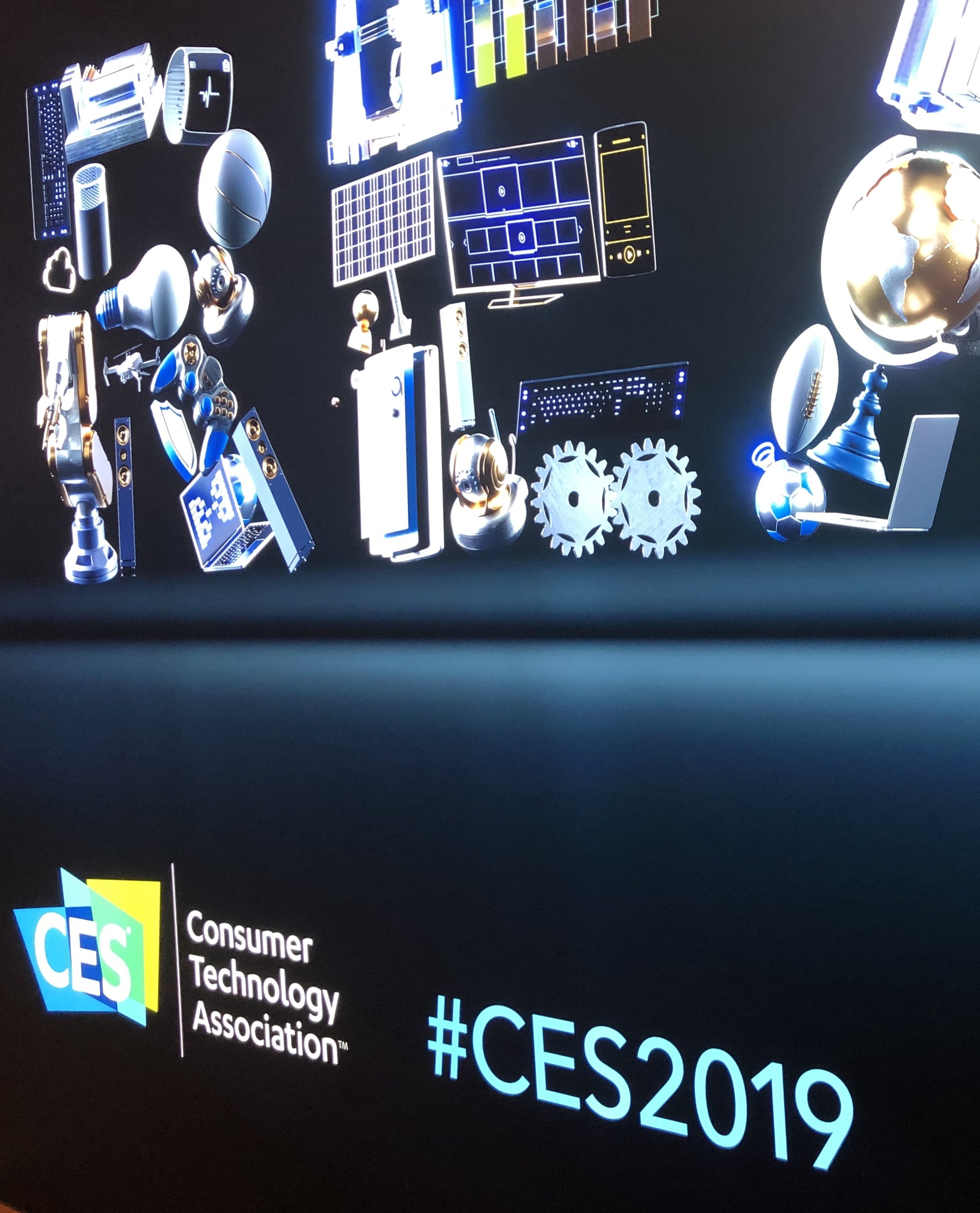 Consumer Electronics Show 2019 | DSR Corporation